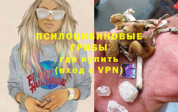 мескалин Алексин