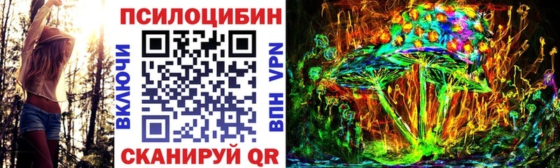 Галлюциногенные грибы Psilocybe  Сенгилей 